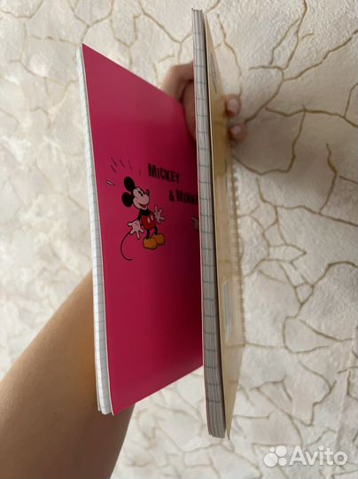 Новая тетрадь из двух разделов