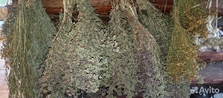 Душистые травы