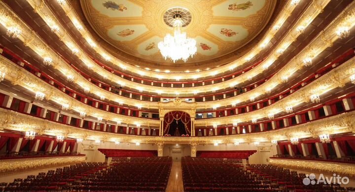 Билеты в театр/музей/концерт/выставки