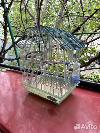 Клетка для волнистого попугая