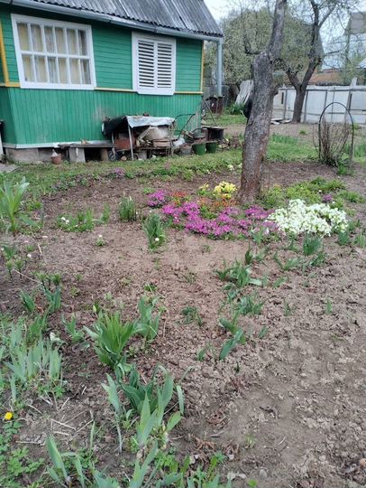 Дом 45,6 м² на участке 6 сот.