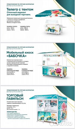 Сеть летних + стационарное кафе мороженое