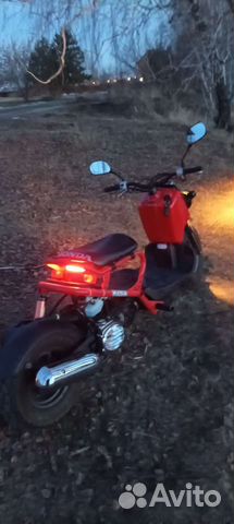 Honda rackus (zoomer)