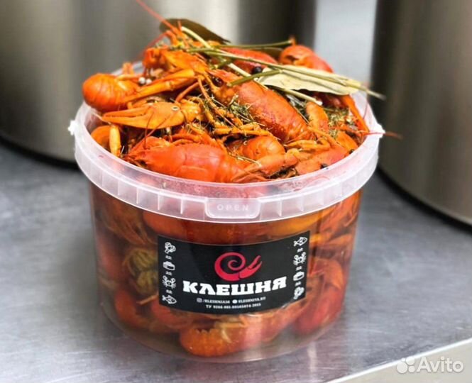 Живые раки. Свежий улов