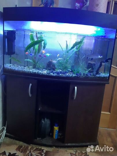 Аквариум 240 л