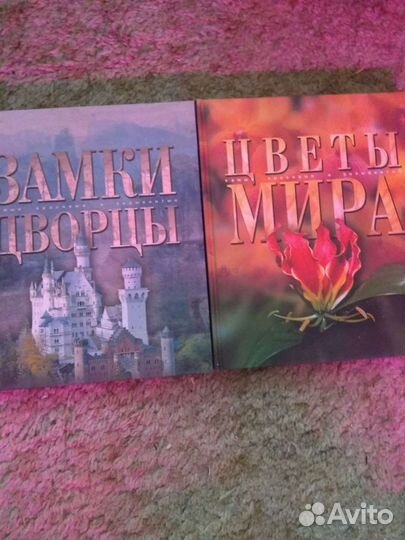 Самые красивые и знаменитые