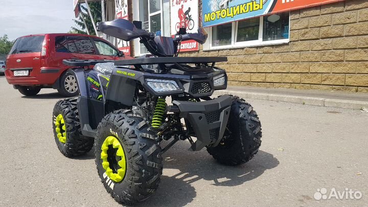 Wild 125 Lux(2023)