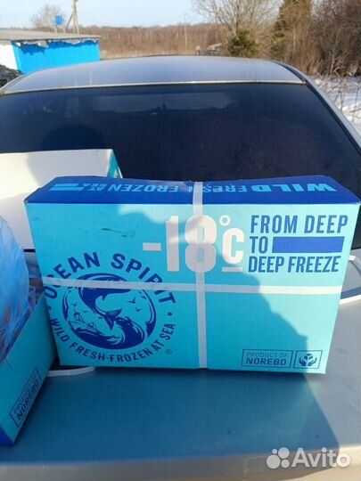 Северная креветка 5 кг