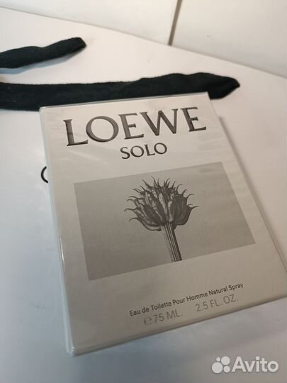 Loewe Solo men