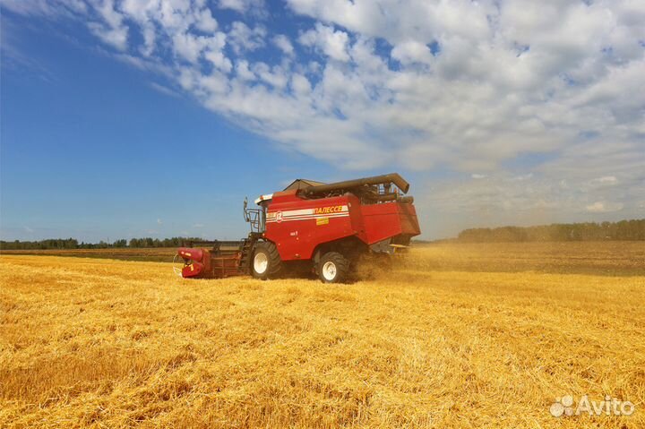 Фотографии для сайтов и интерьера