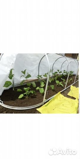 Стальной парник Агрощит