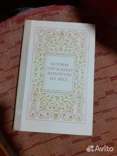 История зарубежной лит-ры 19 века. 1982 год