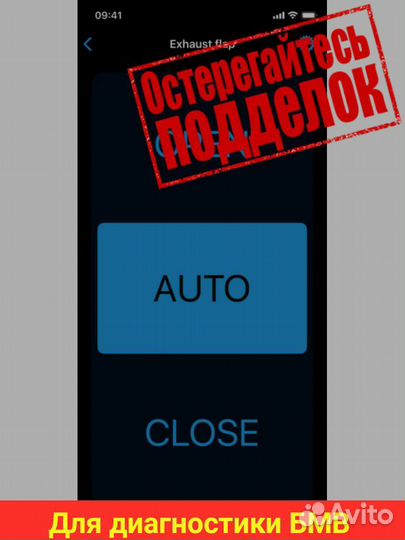 Bimmerlink программа для диагностики BMW