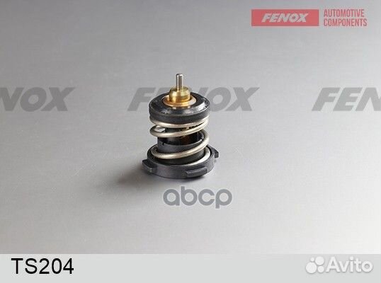 Термостат TS204 fenox