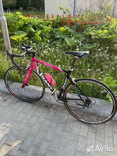 Шоссейный велосипед Giant TCR Advanced T-Mobile