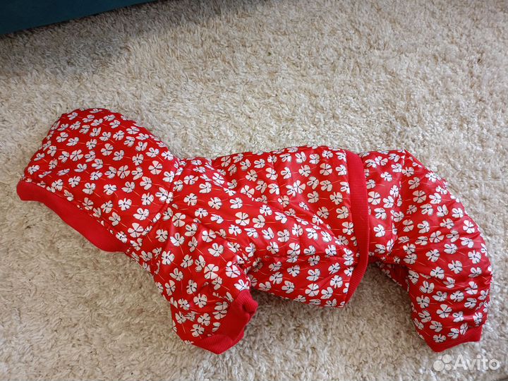 Одежда для собак