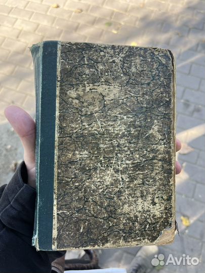 Юные дикари Э. Томпсонъ-Сетонъ