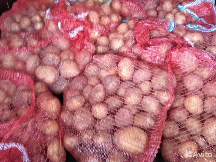Продам картофель с доставкой