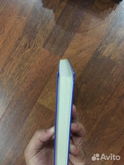 Книга - Каникулы в Лимстоке