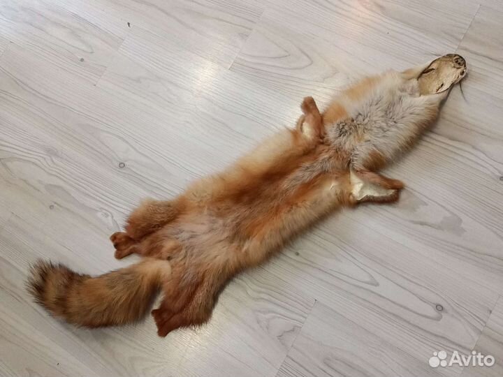 Шкура рыжей лисы