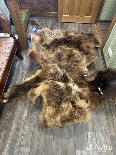 Шкура медведя имитация