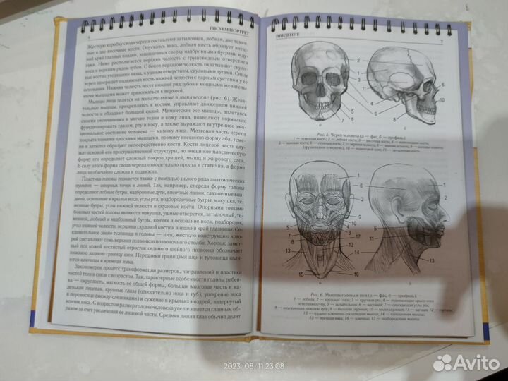 Пособие по рисованию