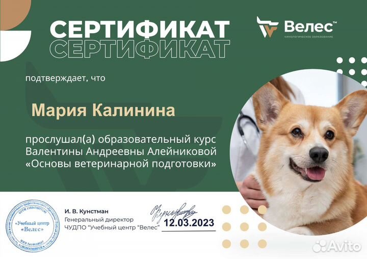 Кинолог зоопсихолог