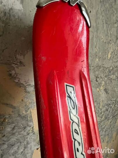 Горные лыжи