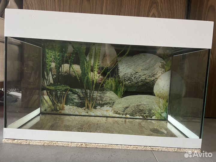 Аквариум
