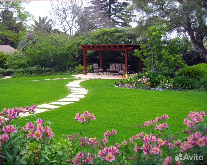 Семена газонной травы