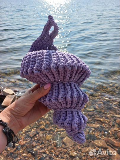 Ракушка интерьерная