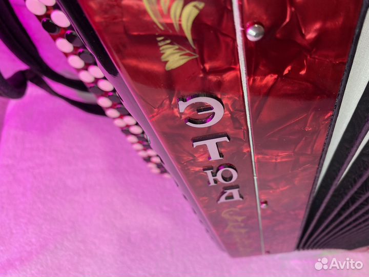 Баян Этюд 205м2 Золотистая роспись Уникальная