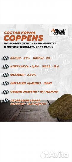 Корм для рыбок