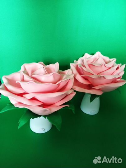 Ночник цветок