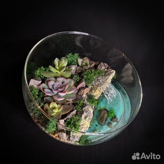 Флорариум 