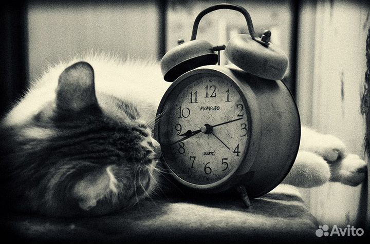 Копирайтер, редактор, рерайтер. Тайм-менеджмент