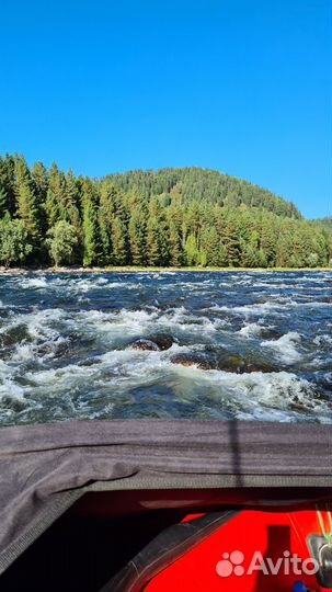 Алтай с гидом