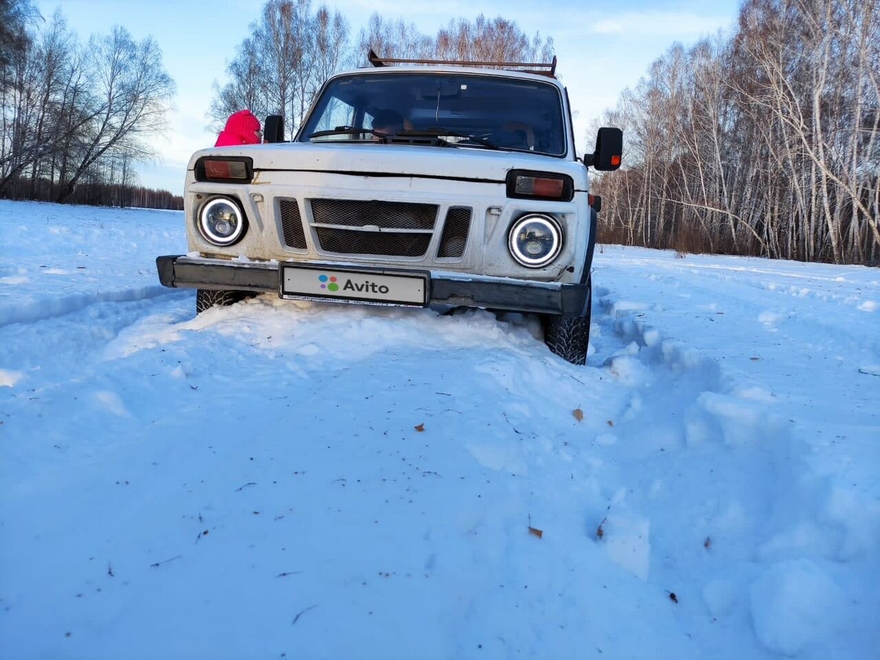 ВАЗ (LADA) 4x4 (Нива): фото владельца