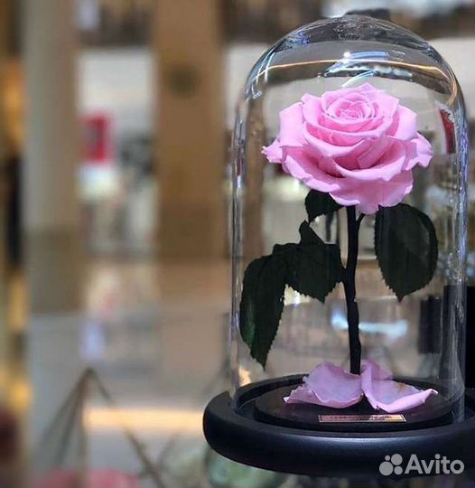 Вечная роза в колбе