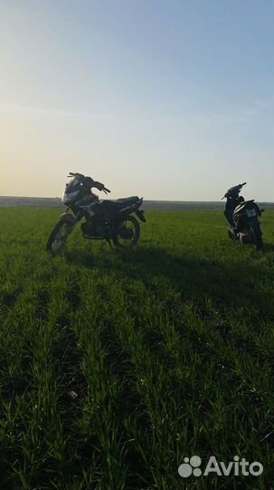 Продам storm indigo 125