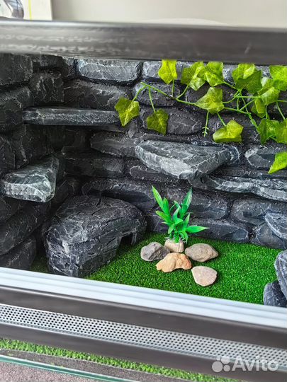 Террариум для рептилий