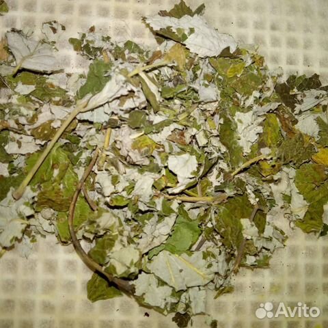 Малина лист сушеный