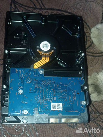 Жесткий диск 500 гб
