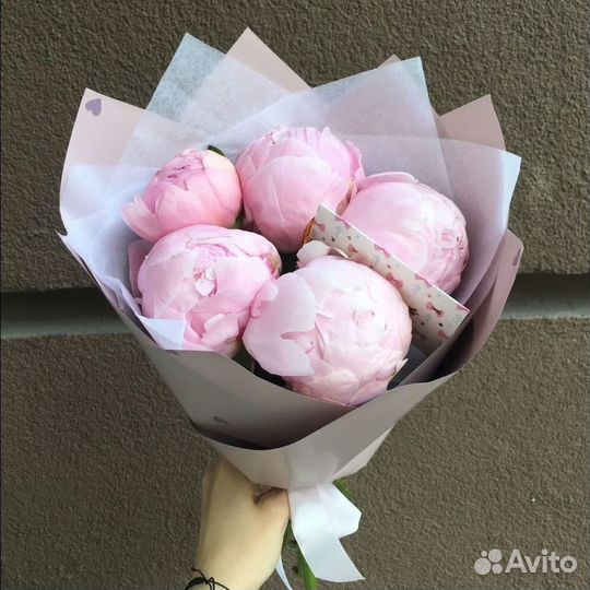 Букеты из пионов 5 15 25 51 штук