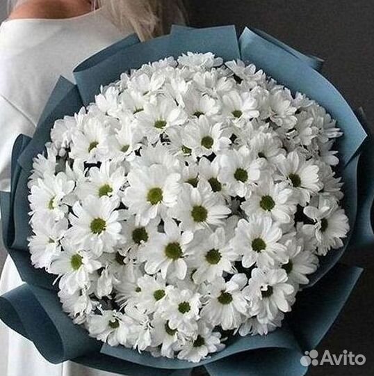 Хризантема Цветы Доставка