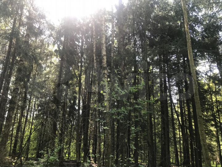 Участок 29 сот. (ИЖС)