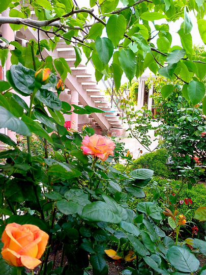 Дом 340 м² на участке 4 сот.