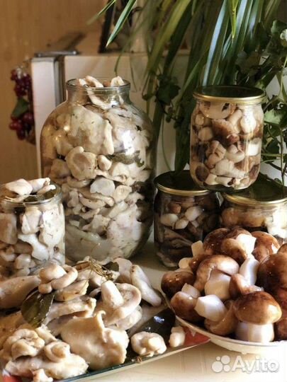 Грибы валуй марин-ый, груздь соленный