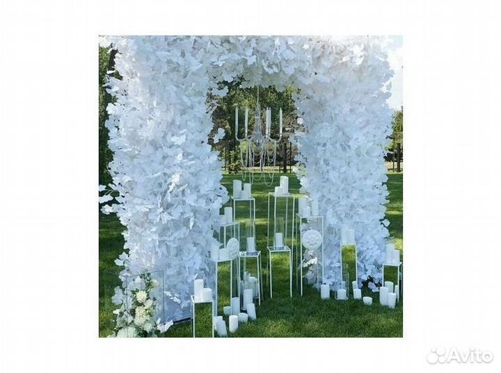 Цветущие Арки. На день рождения AR72494