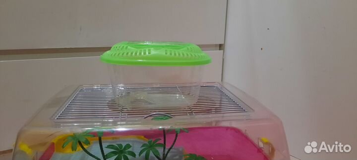 Террариум для красноухой черепахи